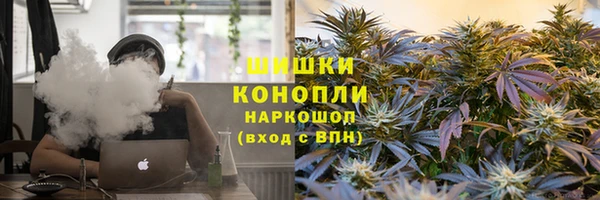 мет Лагань