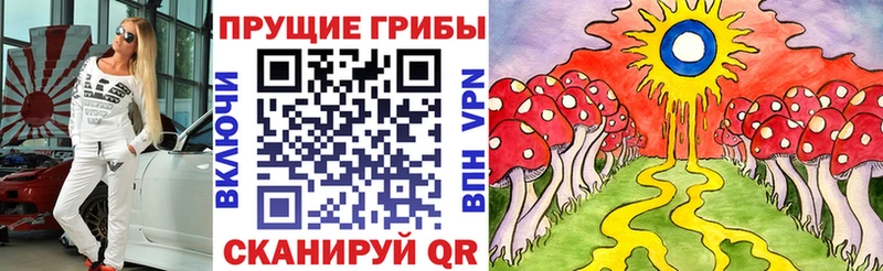 где купить наркотик  Ясный  Псилоцибиновые грибы ЛСД 